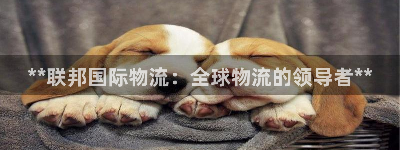 28圈app怎么注册账号：**联邦国