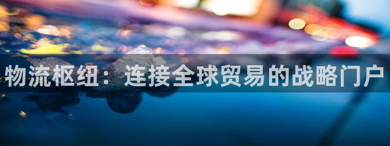 28圈登录网：物流枢纽：连接全球贸易的战略门户