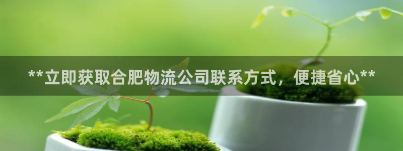 28圈链接多少：**立即获取合肥物流