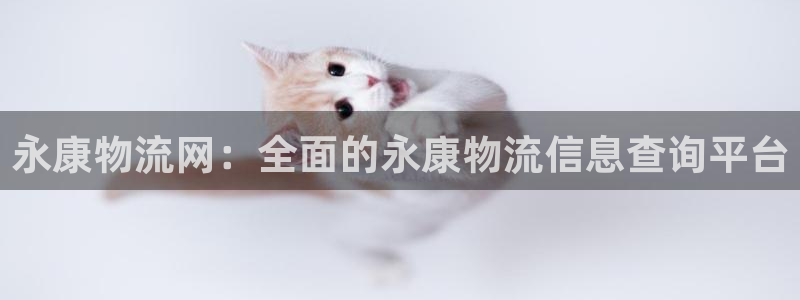 28圈官方