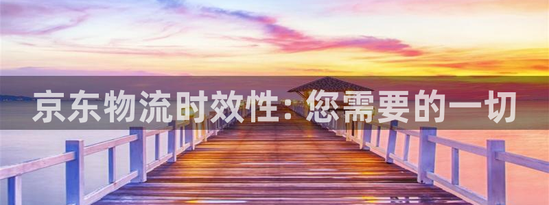 28圈平台注册：京东物流时效性: 您
