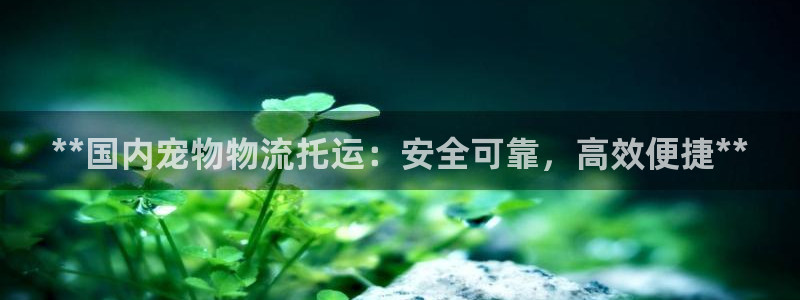28圈里的财神：**国内宠物物流托运