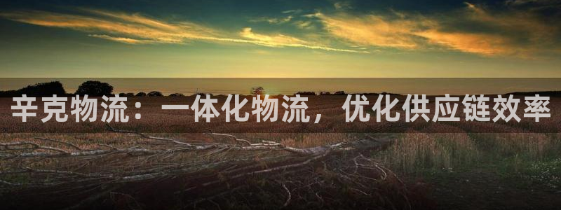 28圈软件:辛克物流:一体化物流,优