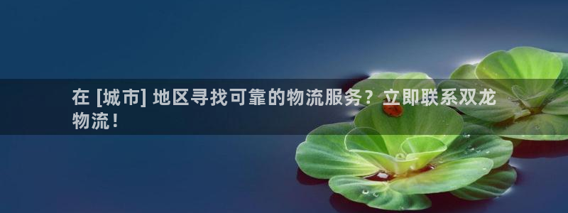 28圈注册步骤：在 [城市] 地区寻