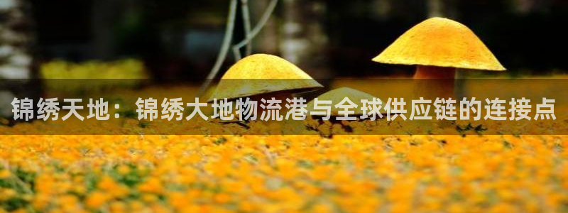 28圈哪个最赚钱