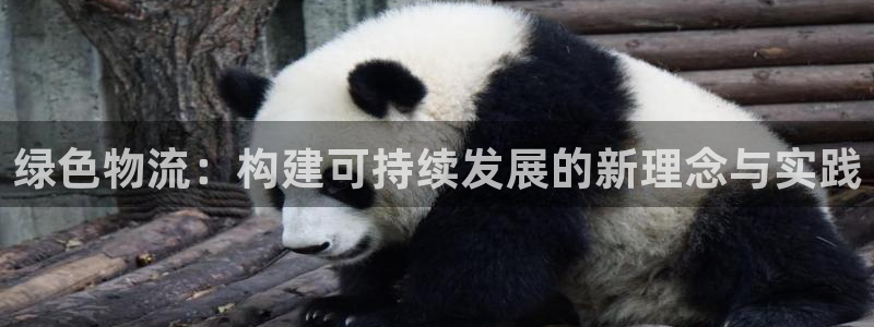 28圈是正规软件吗