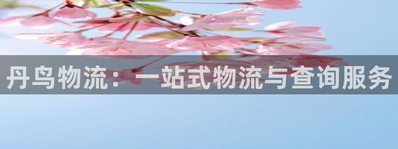 28圈下载二维码