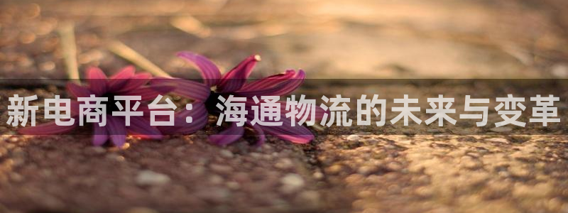 28圈反水怎么算