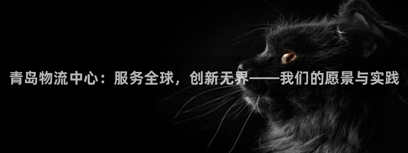 28圈南宫娱乐官网:青岛物流中心:服