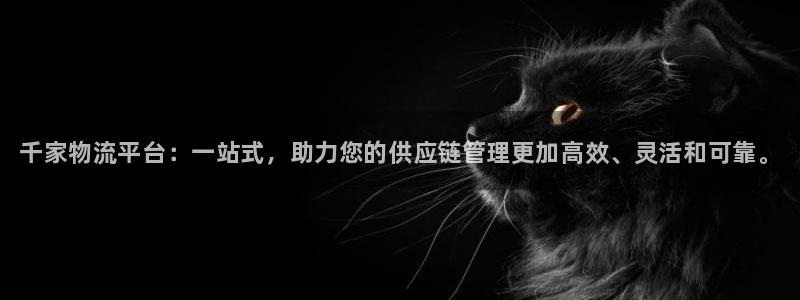 28圈取保:千家物流平台:一站式,助