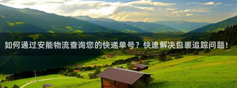 28圈二维码：如何通过安能物流查询您的快递单号？快速解决包裹