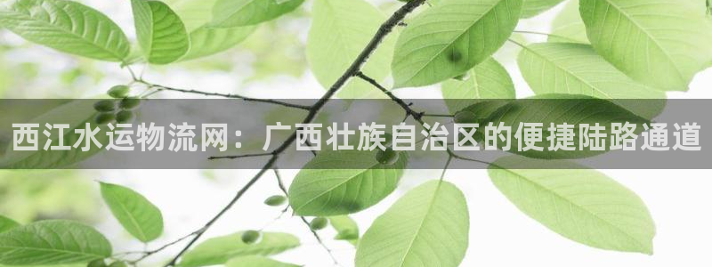 28圈初始资金密码在哪里改：西江水运物流网：广西壮族自治区的