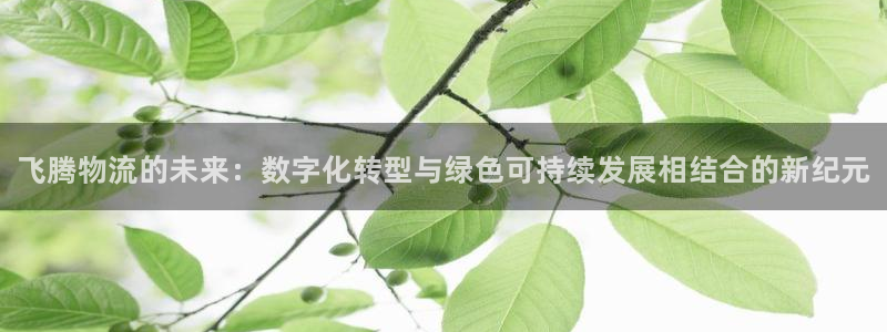28圈推广链接是多少钱一个:飞腾物流