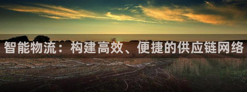 28圈注册流程：智能物流：构建高效、