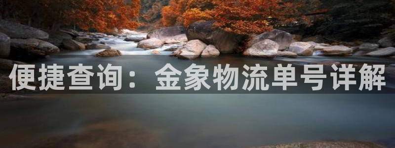 28圈充值不处理怎么办:便捷查询:金