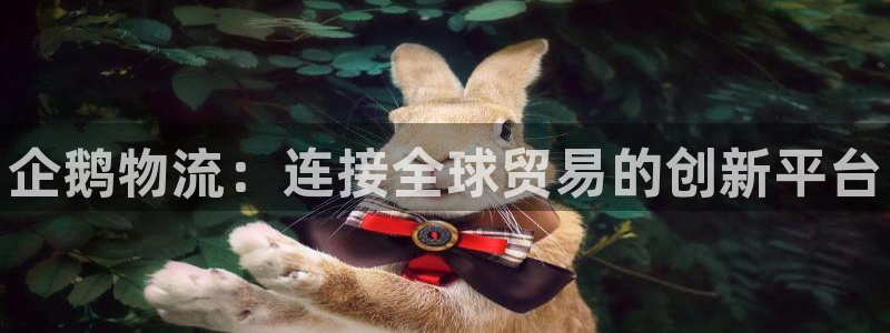 28圈百度百科:企鹅物流:连接全球贸