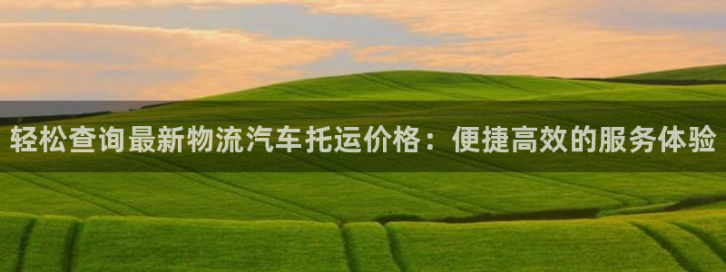 28圈充值不到账怎么回事:轻松查询最