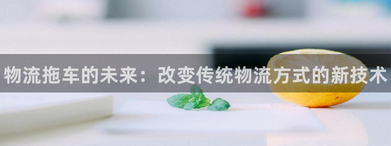 28圈相信品牌的力量：物流拖车的未来