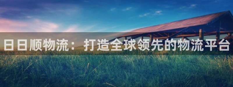 28圈网站怎么注册：日日顺物流：打造