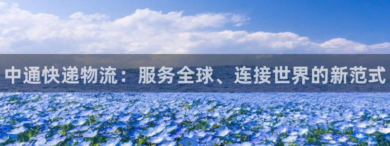 28圈注册网页版：中通快递物流：服务