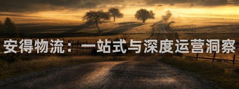 28圈大神预测：安得物流：一站式与深