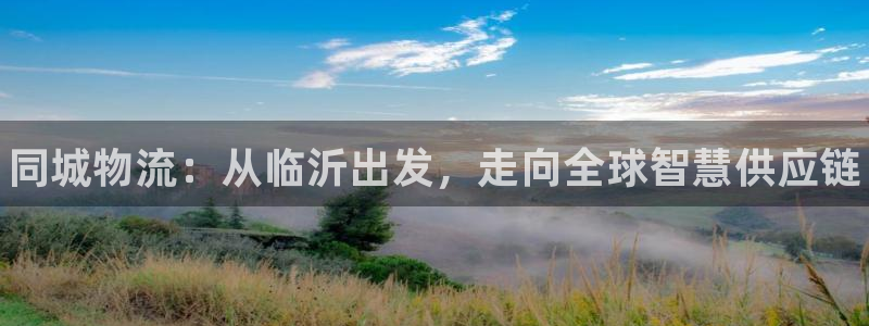 28圈怎么注册下载：同城物流：从临沂