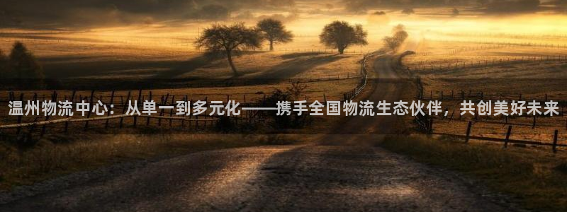 28圈注册号：温州物流中心：从单一到
