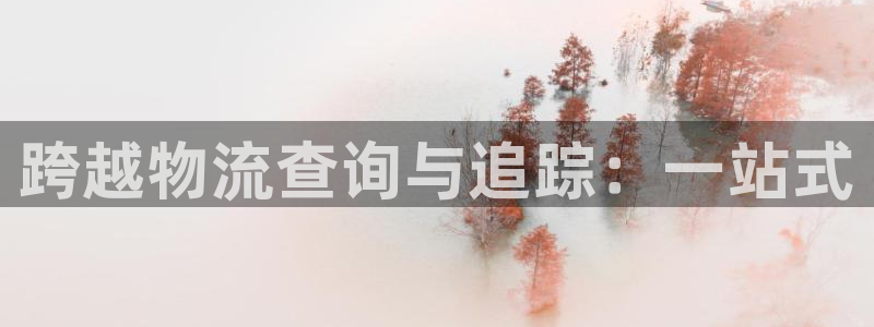 28圈注册登录链接流程：跨越物流查询