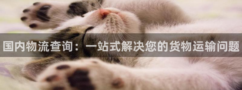 28圈官网下载链接是什么：国内物流查