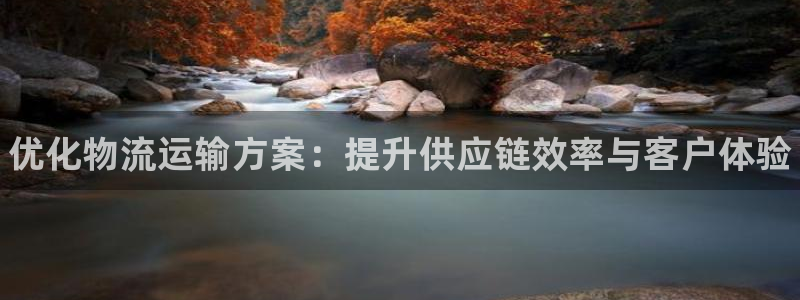 28圈能退款吗：优化物流运输方案：提