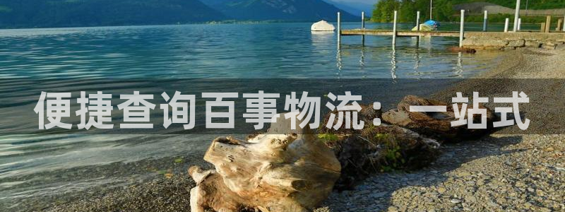 28圈链接多少：便捷查询百事物流：一