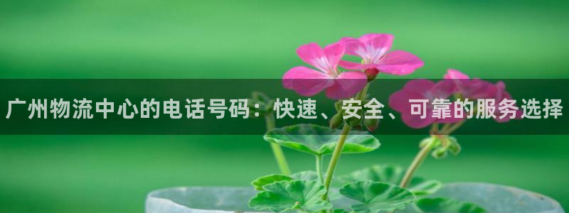 28圈黑不黑：广州物流中心的电话号码