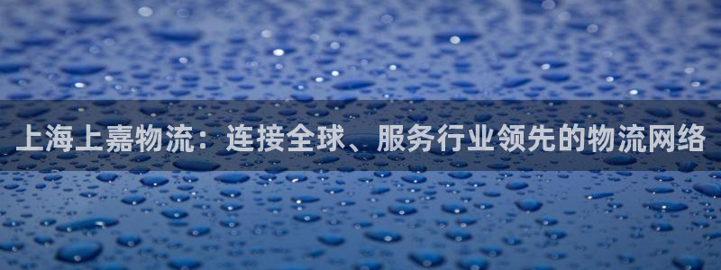 28圈注册登录：上海上嘉物流：连接全