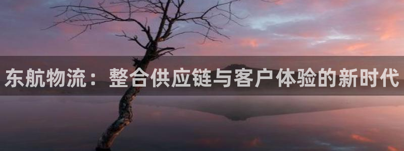 28圈下分了不给钱：东航物流：整合供