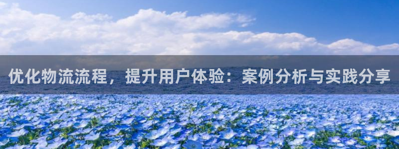 28圈.ccm2024：优化物流流程