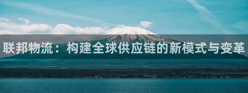 28圈网站怎么注册：联邦物流：构建全