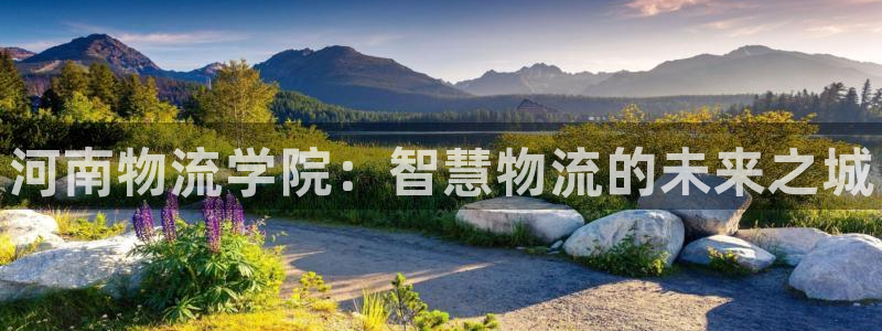 28圈官网下载链接是什么：河南物流学