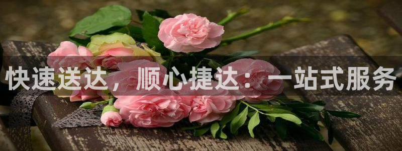 28圈南宫娱乐官网：快速送达，顺心捷