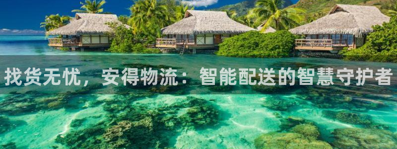 28圈充值不到账什么原因：找货无忧，安得物流：智能配送的智慧