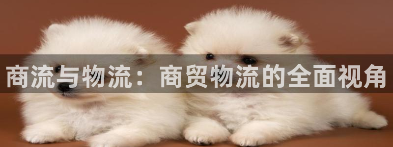 28圈分分28预测：商流与物流：商贸