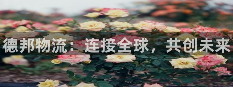 28圈取保：德邦物流：连接全球，共创